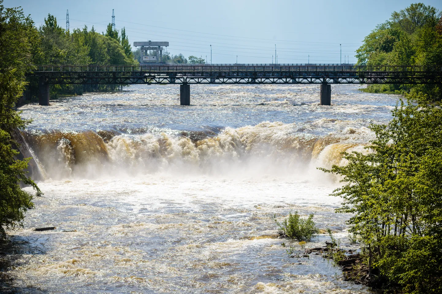 Narva kosed.