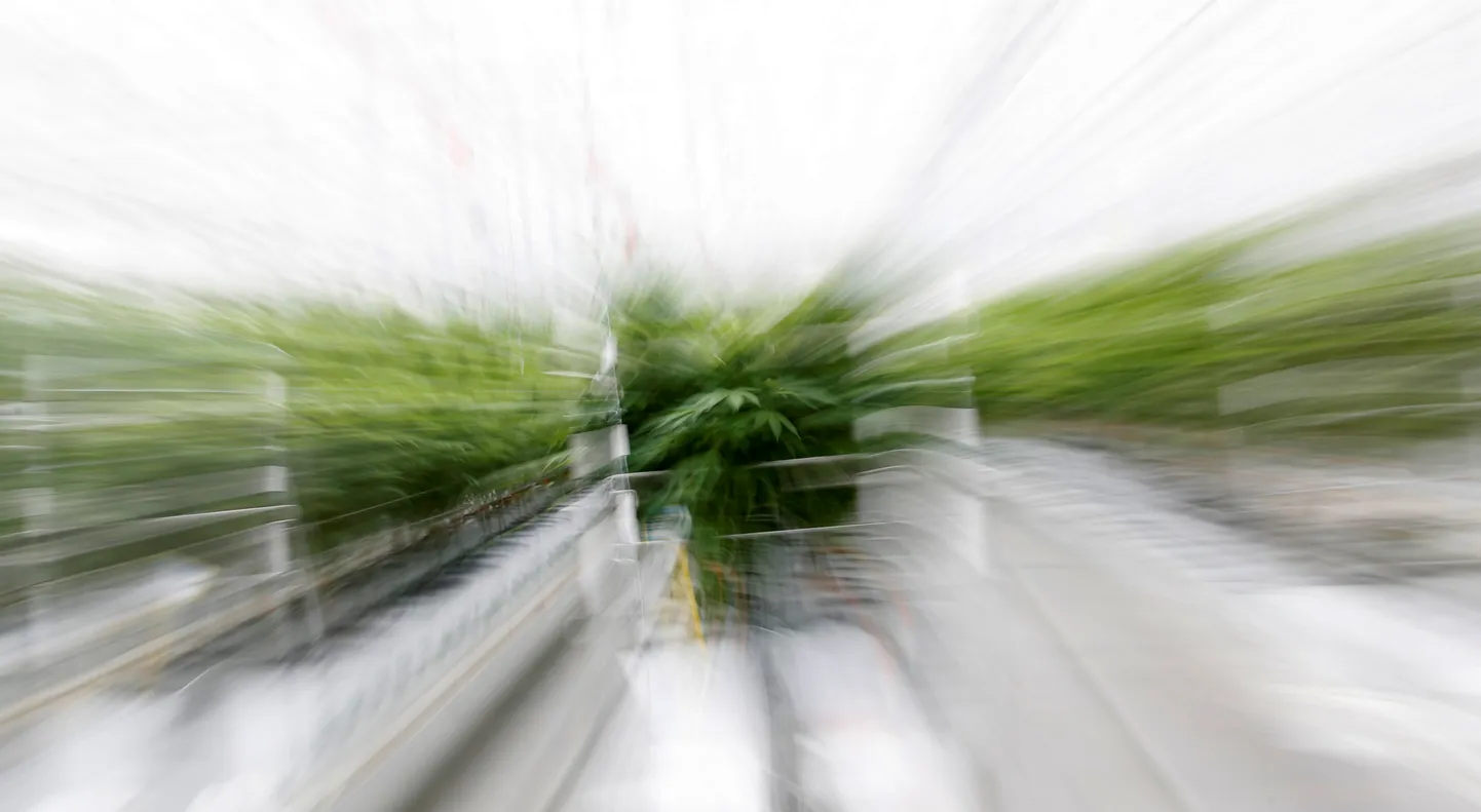 Raksta foto
