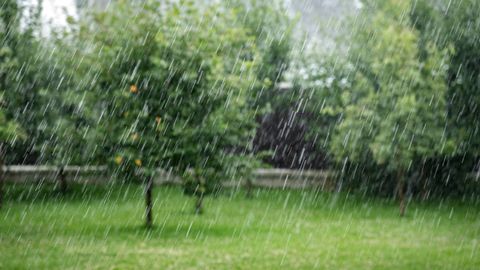 Nākamnedēļ atkal gaidāmas lietusgāzes