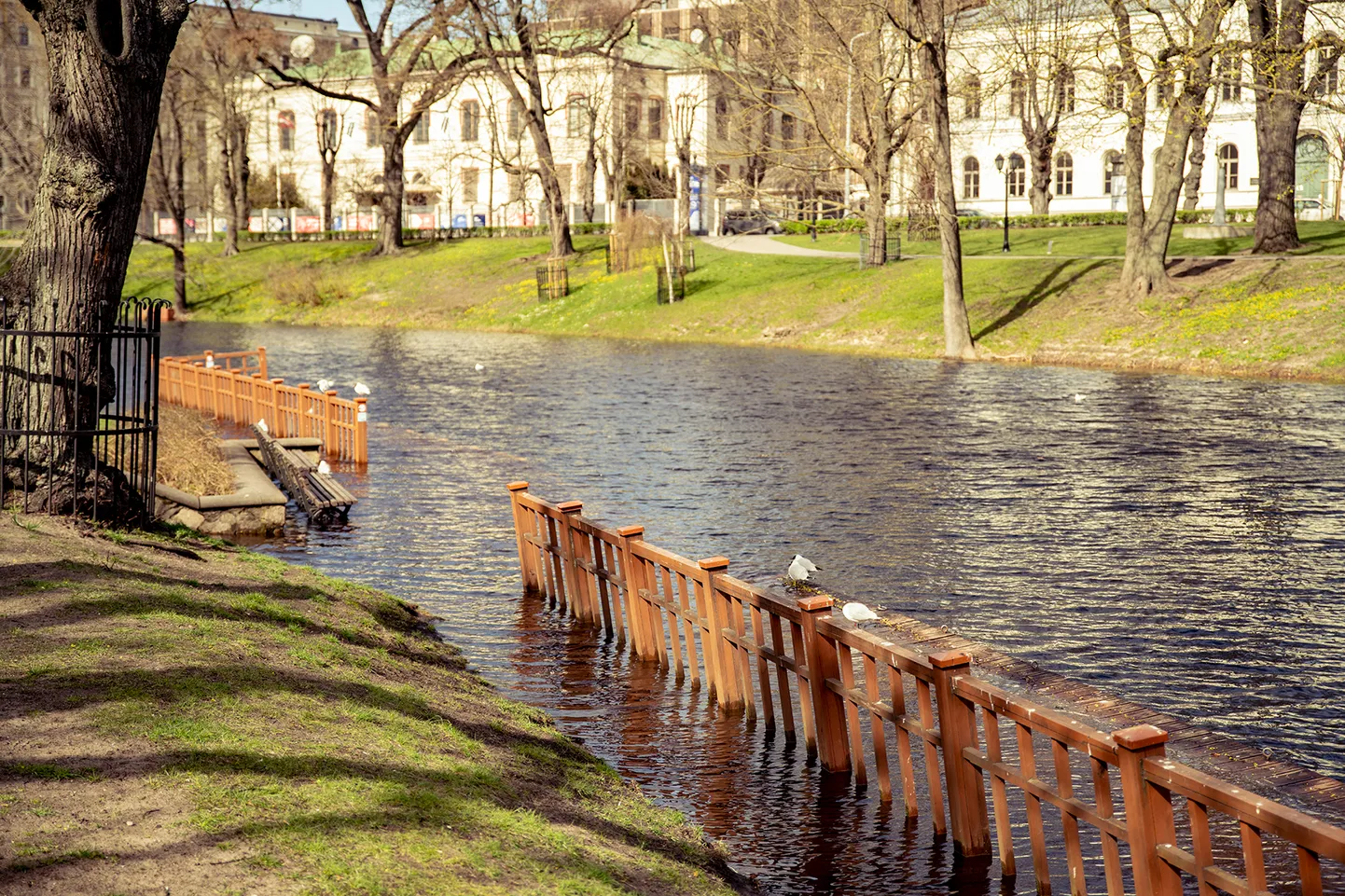 Фото статьи