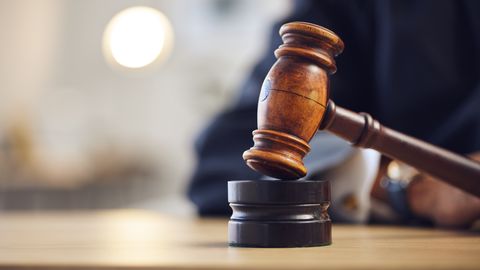 Sojenje slikarju Pēterisu Postažsu zaradi spolne zlorabe mladoletnic se bo nadaljevalo prihodnje leto