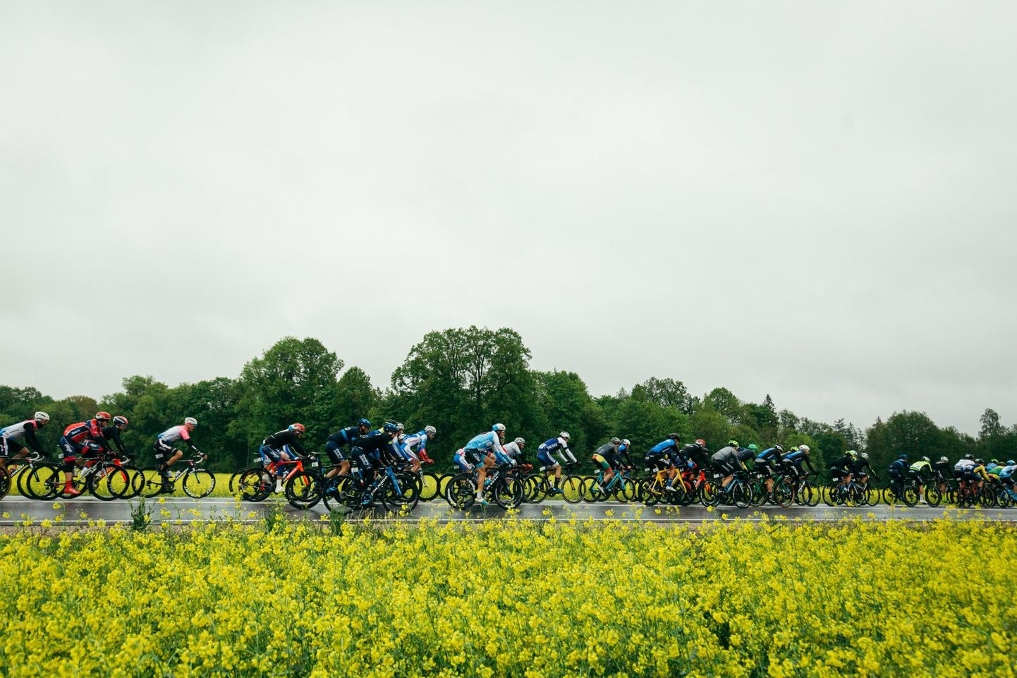 Rahvusvahelise jalgratturite liidu kalendrisse kuuluv profiratturite võidusõit «Tour of Estonia» toob stardijoonele sadakond võistlejat. Foto on tehtud eelmisel, 2019. aasta velotuuril.