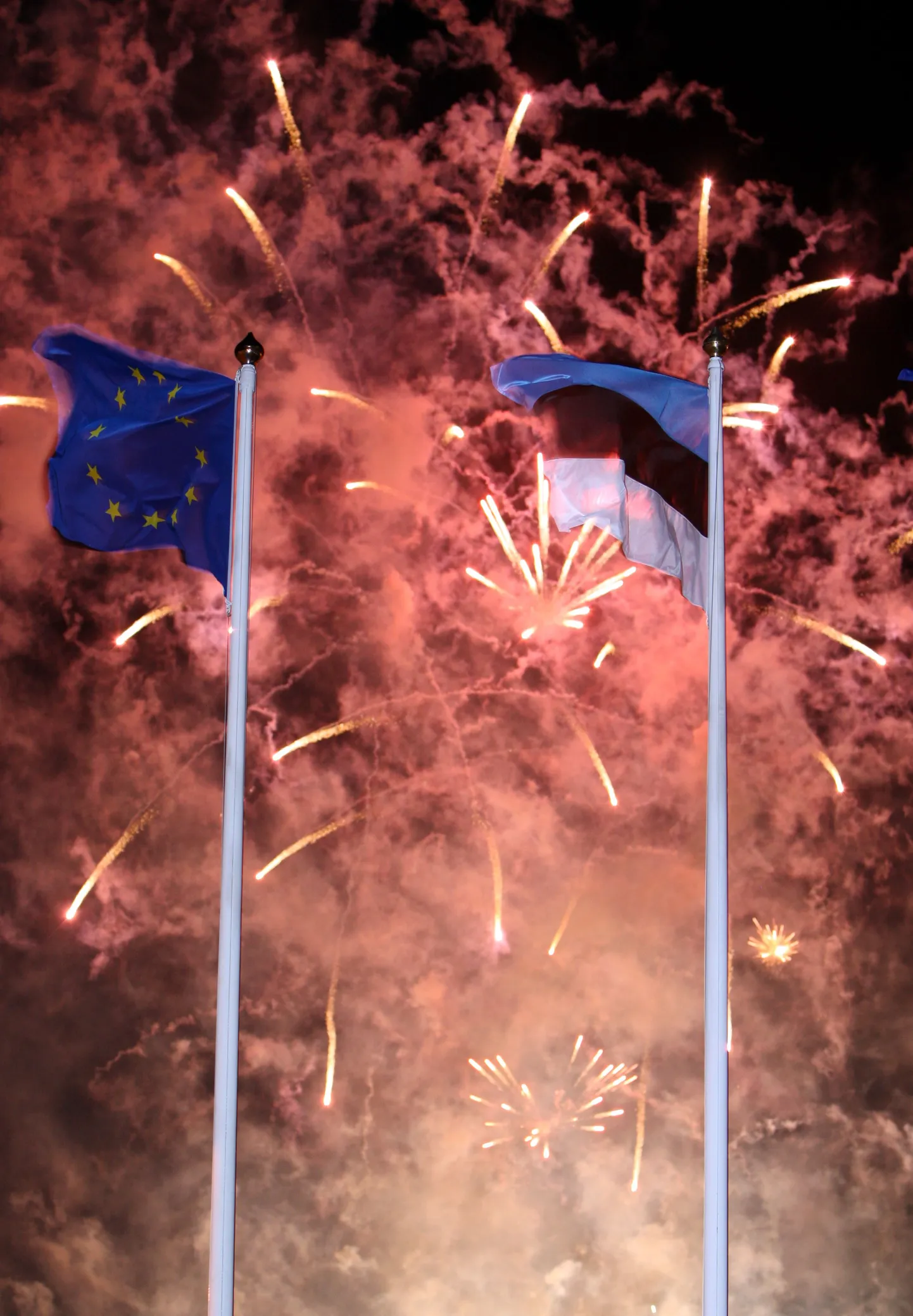 Euroopa Liidu ja Eesti lipp