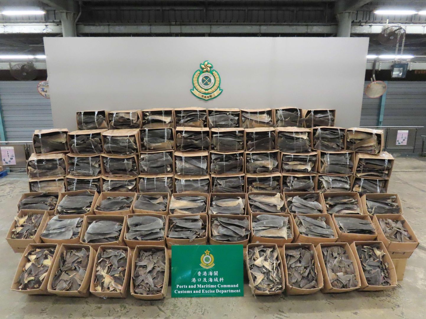Hongkongi tolliametnike konfiskeeritud haiuimed 6. mai 2020.