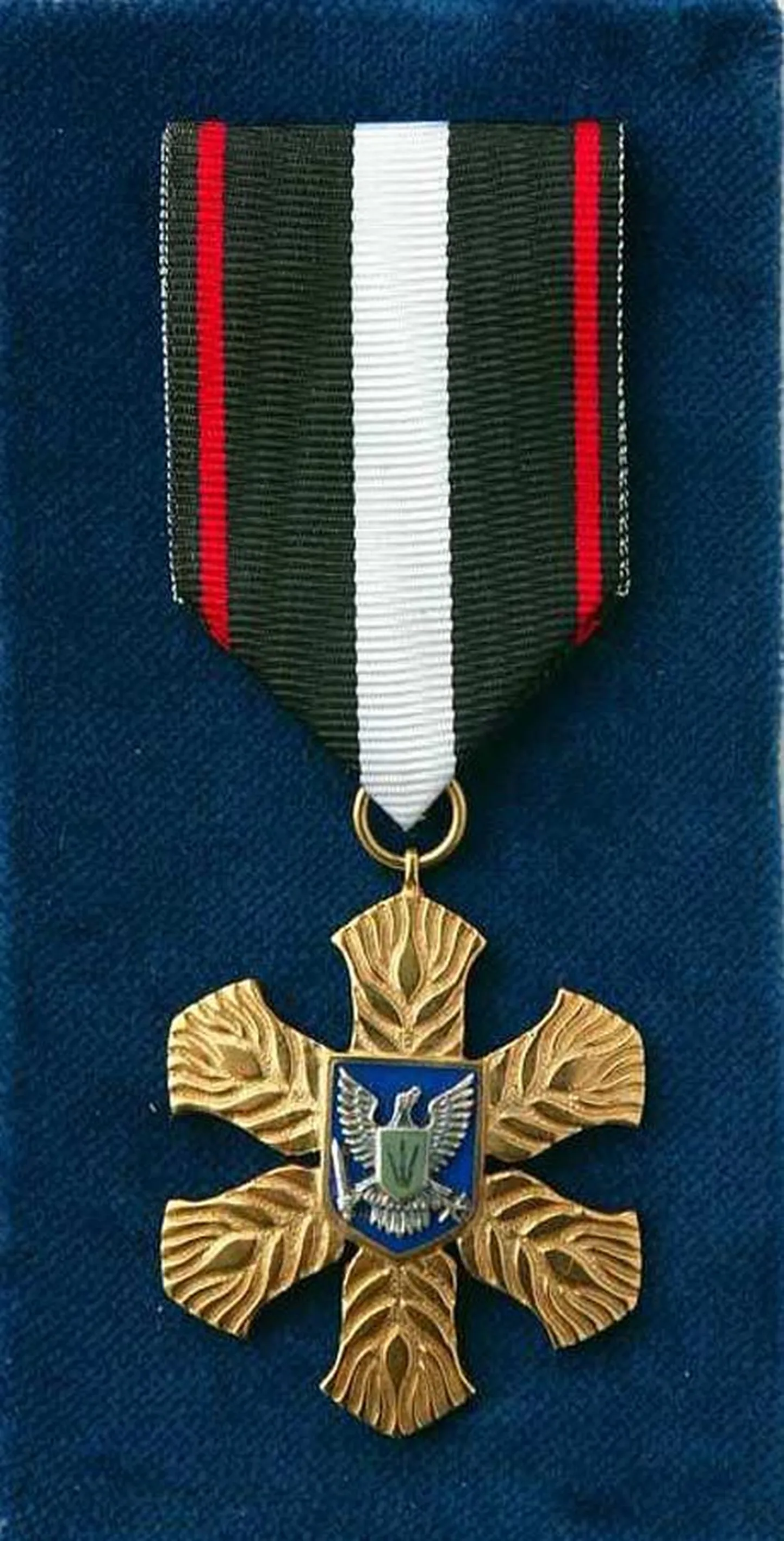 Viljandimaa vapimärki