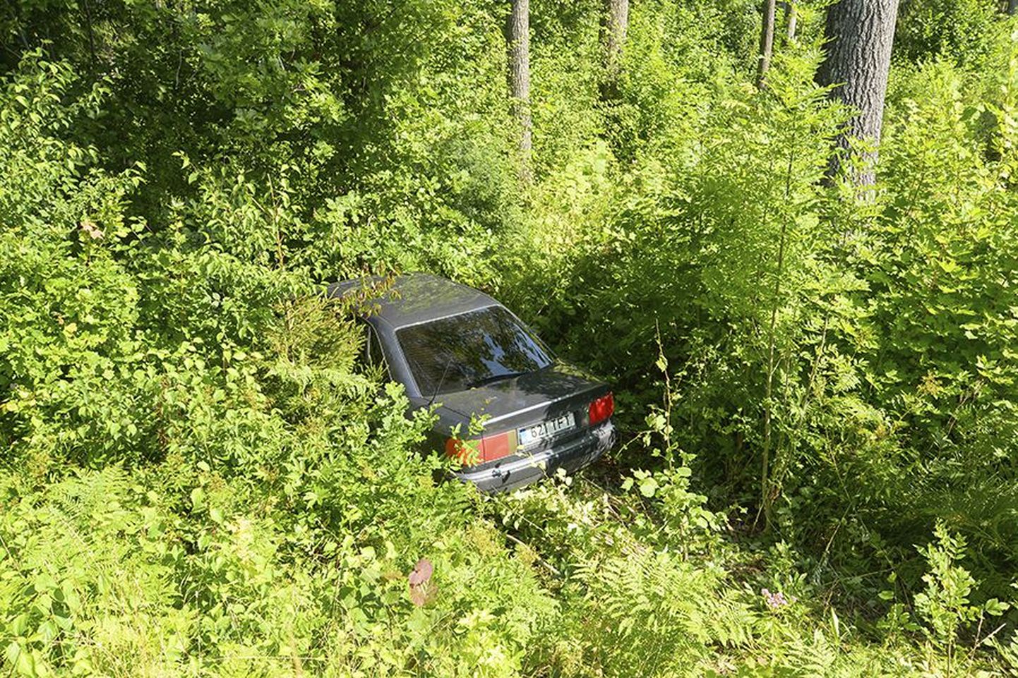 Kraavis maandunud Audi juht pääses õnneks vigastusteta.