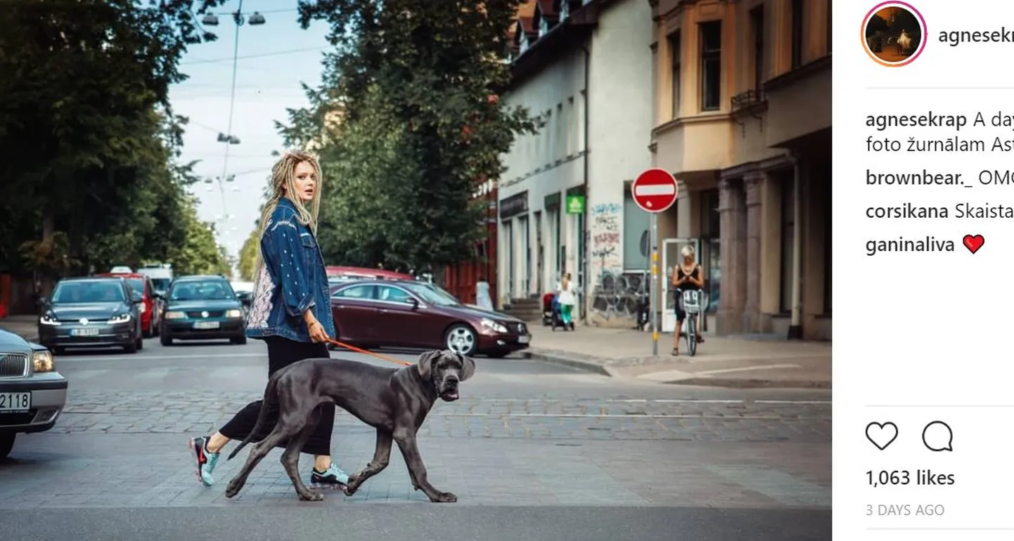 Raksta foto