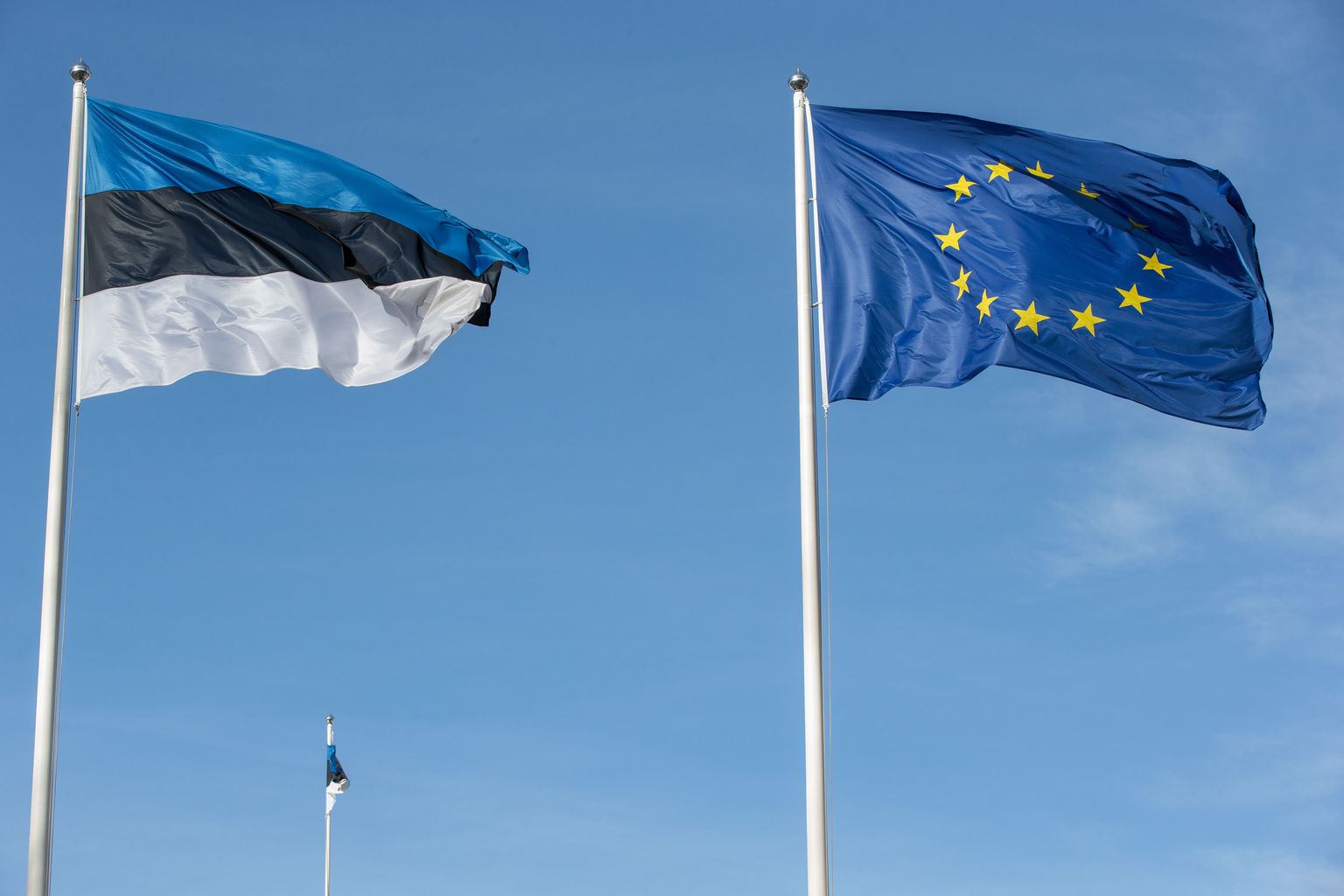 Euroopa Liidu ja Eesti lipud.