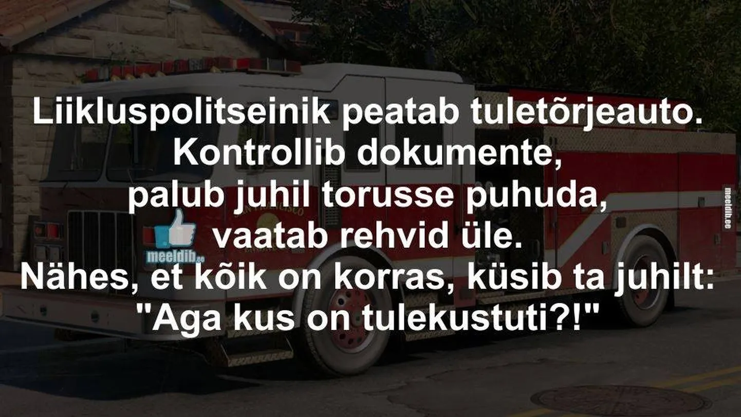 Artikli foto