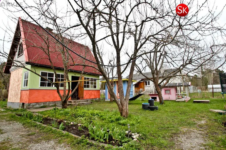 Artikli foto