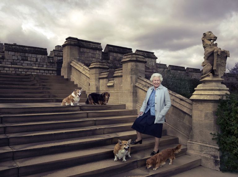 Buckinghami palee avaldatud ametlik foto tänasest sünnipäevalapsest oma kolme koera seltsis.
