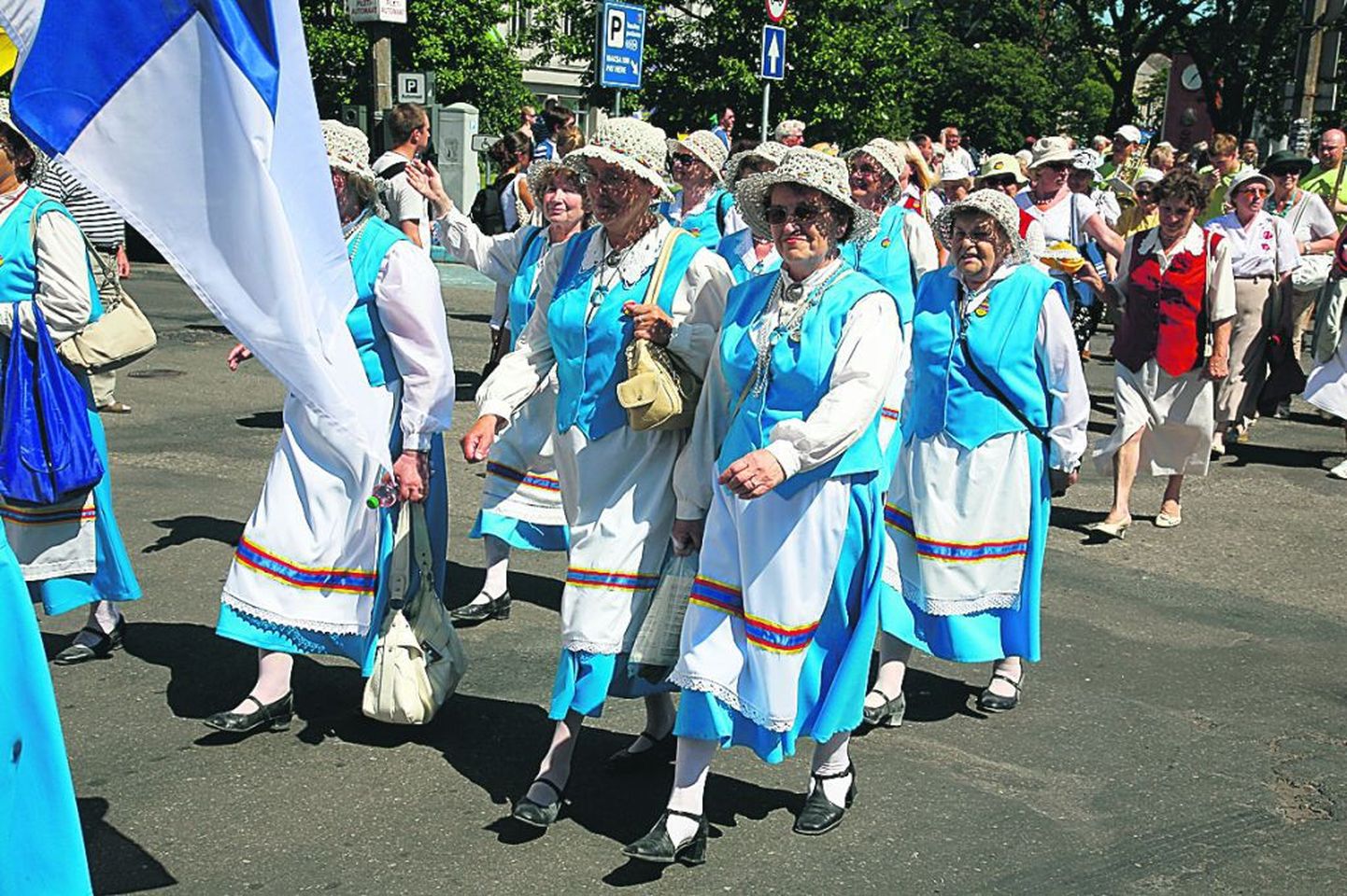 Ingerisoomlased marssisid pühapäeval rongkäigus läbi Rüütli tänava Vallikääru.