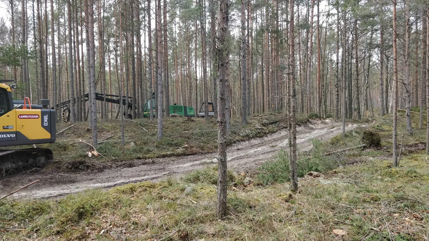 Nõva looduskaitsealal tegutses märtsis korraga viis harvesteri