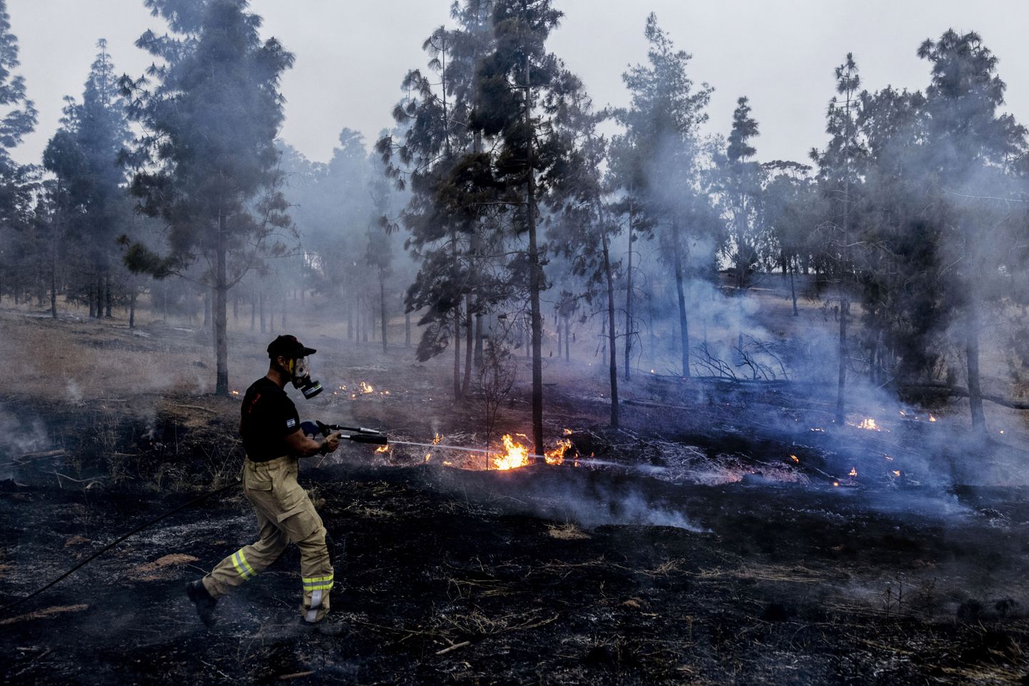 Iisraeli tuletõrjuja kustutamas süüteõhupallide põhjustatud põlengut.