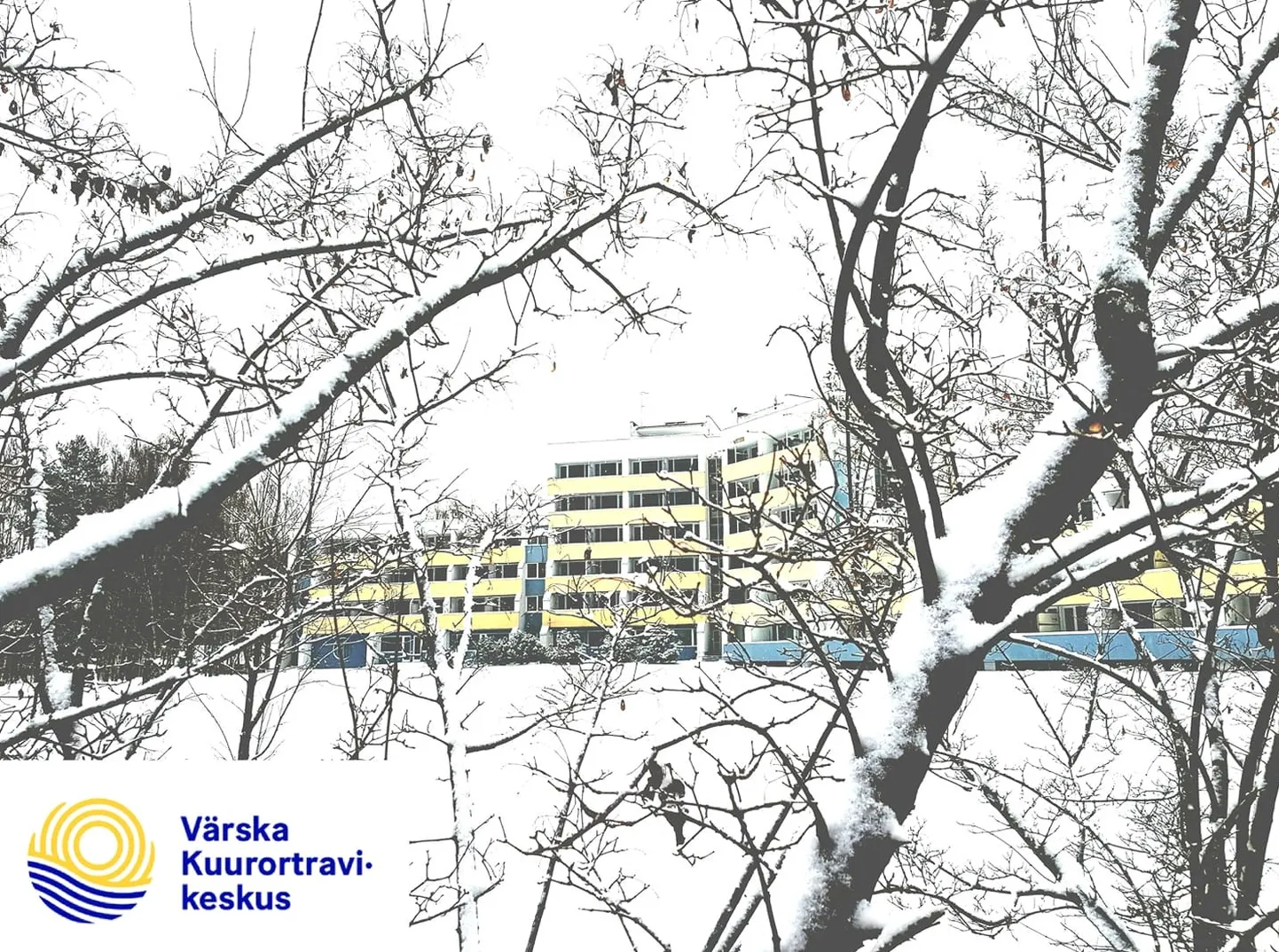 Фото статьи