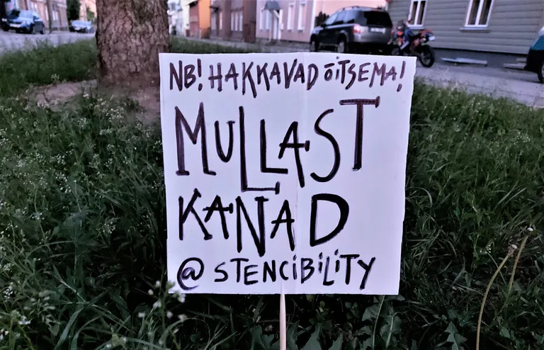 Silt mullast kanade juures.