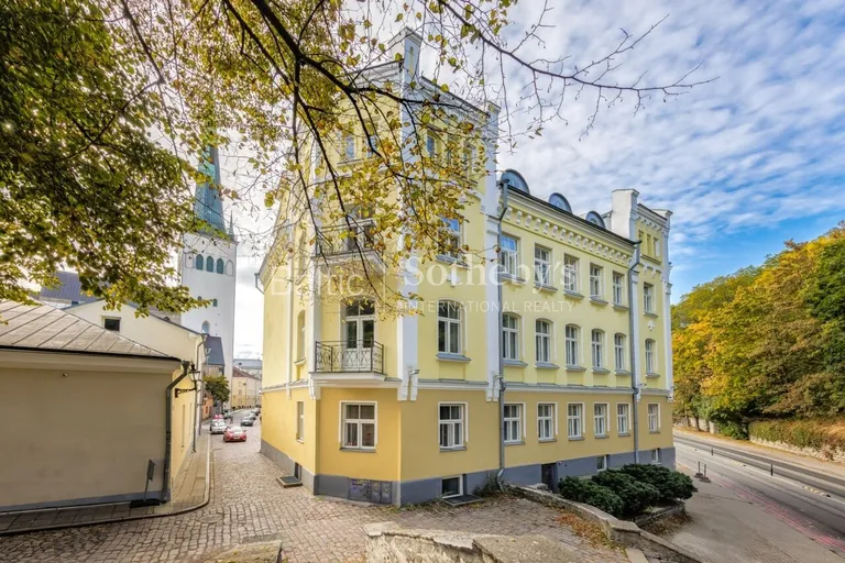 Фото статьи