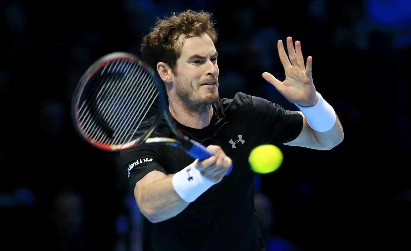 Andy Murray.