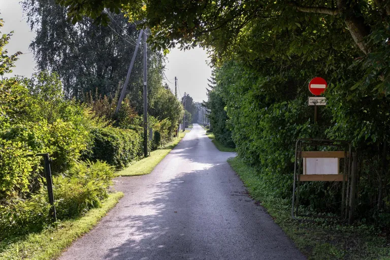Elamutega ääristatud umbtänaval Pärnu külje all Tammiste külas on elu kohalike kinnitusel muidu rahulik. 25. augusti varahommikul panid kaks poissi siin toime jõhkra mõrva.