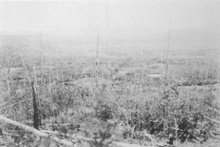 1908. aastal pärast Tunguusi plahvatust tehtud foto hävinenud metsast