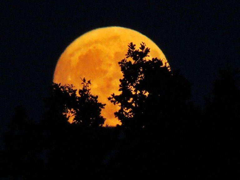 В графстве Уорикшир (Англия) на фоне темного неба луна казалась ярко-оранжевой