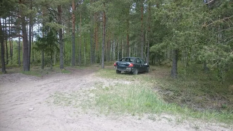 Фото статьи