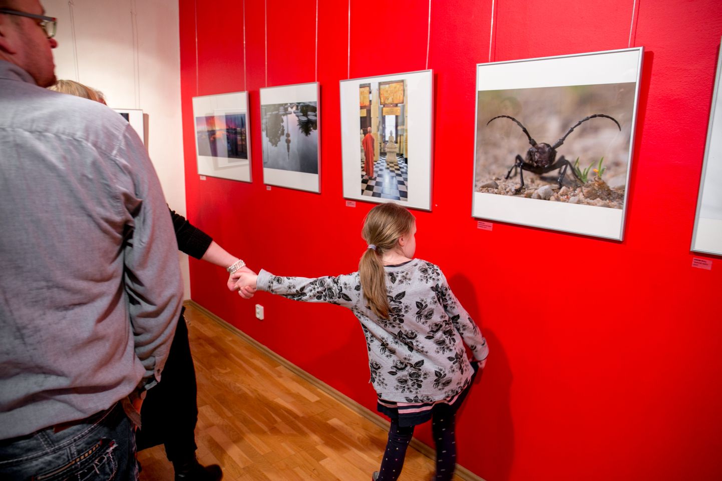 Pärnu galeriides avanevad näitused eelmise aasta parimatest fotodest.