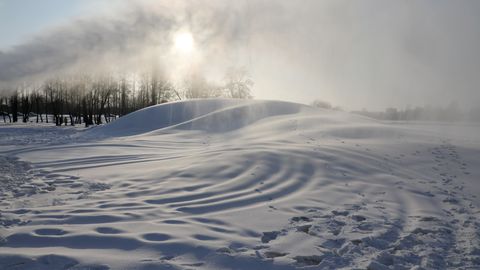 Фермеры рассказали, как морозы повлияли на озимые культуры
