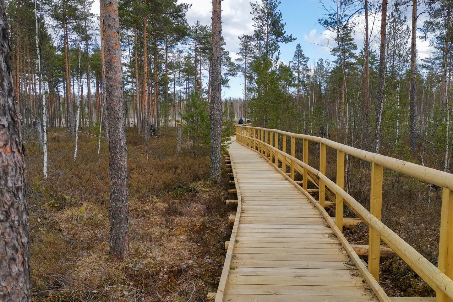 Eesti looduse päeva traditsioon sai RMK eestvedamisel alguse 2018. aastal, mil tähistati Eesti Vabariigi 100 sünnipäeva.