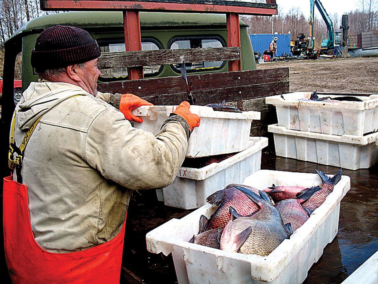Piirissaare kalur Pjotr Fek­lis­tov püüdis koos vennaga ilusad suured latikad.