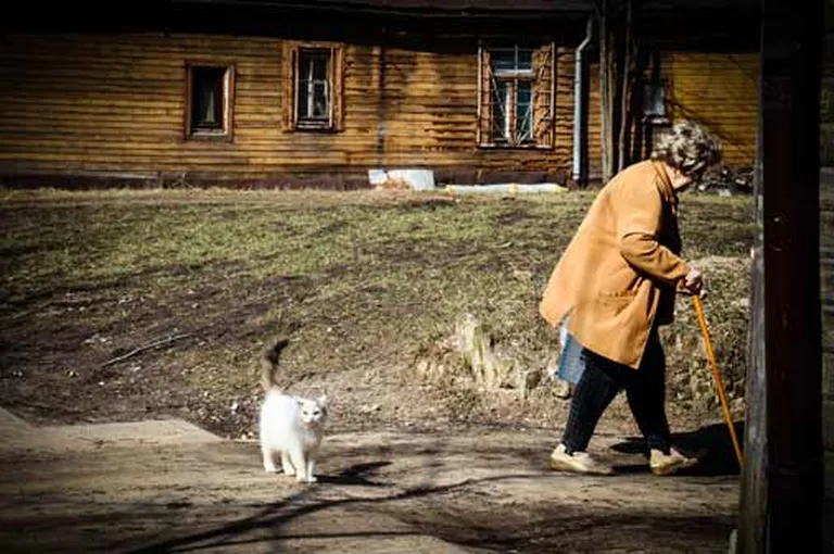 Raksta foto