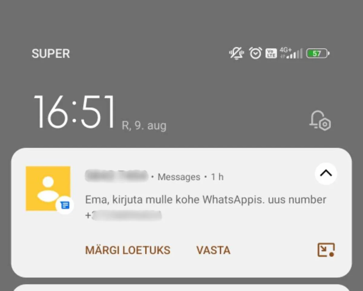 «Мама, срочно напиши мне в WhatsApp! Вот мой новый номер телефона», - гласит еще одно подобное сообщение. Такие мошеннические сообщения рассылались как на эстонском, так и на русском языках.
