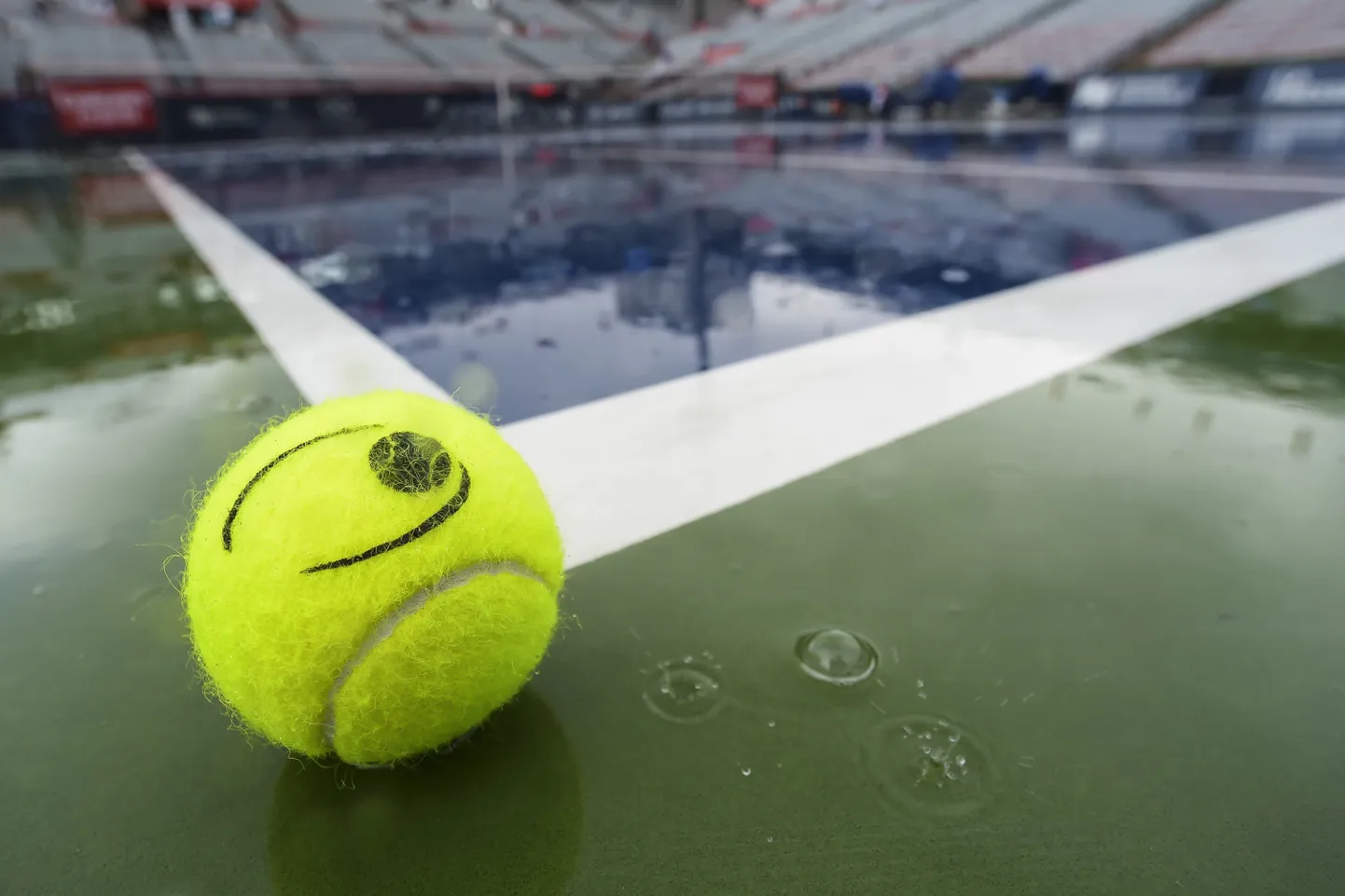 Tenisa bumbiņa (ilustratīvs attēls)