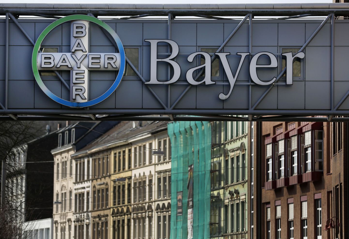 Bayeri logo