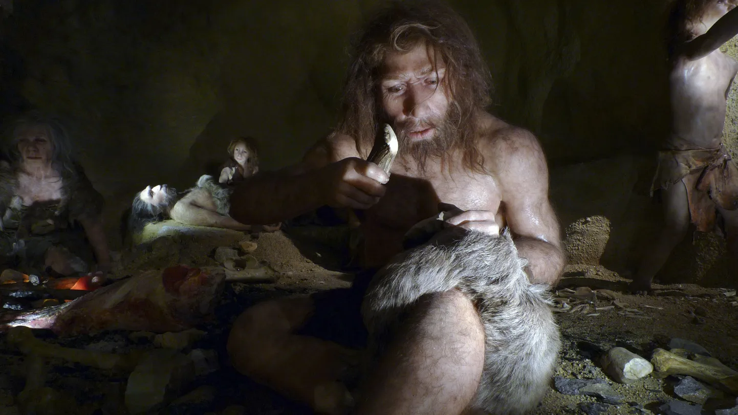 Neandertallaste rekonstruktsioon