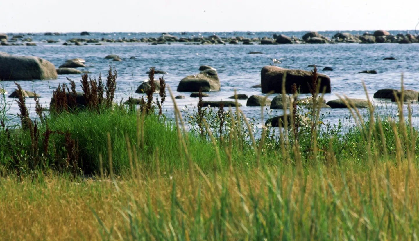 Saaremaa.