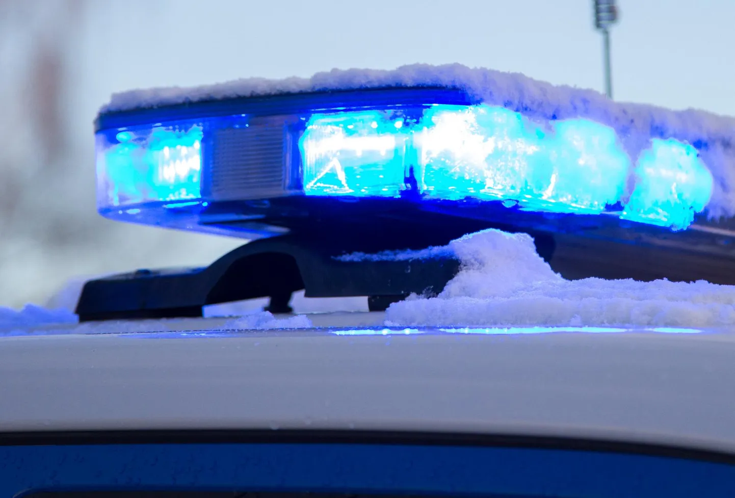 Politsei pidas möödunud nädalal Valgas kinni kaks meest, keda seni kogutud tõenditele tuginedes on alust kahtlustada eaka naise röövimises.