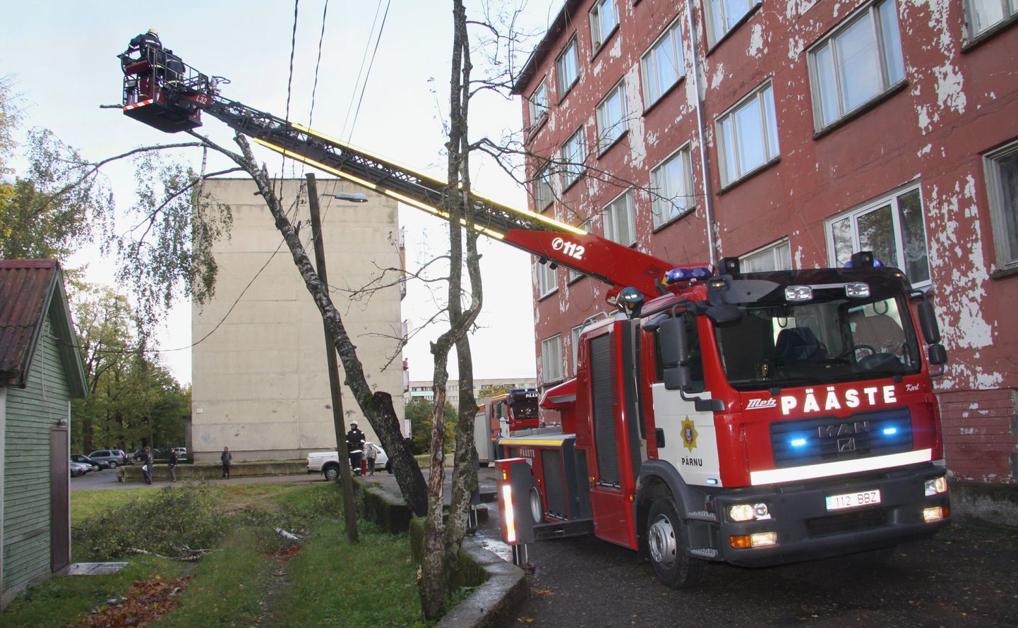 Sindis Pärnu maanteel langetas tormituul elektriliinidele puu, mille päästjad eemaldasid.