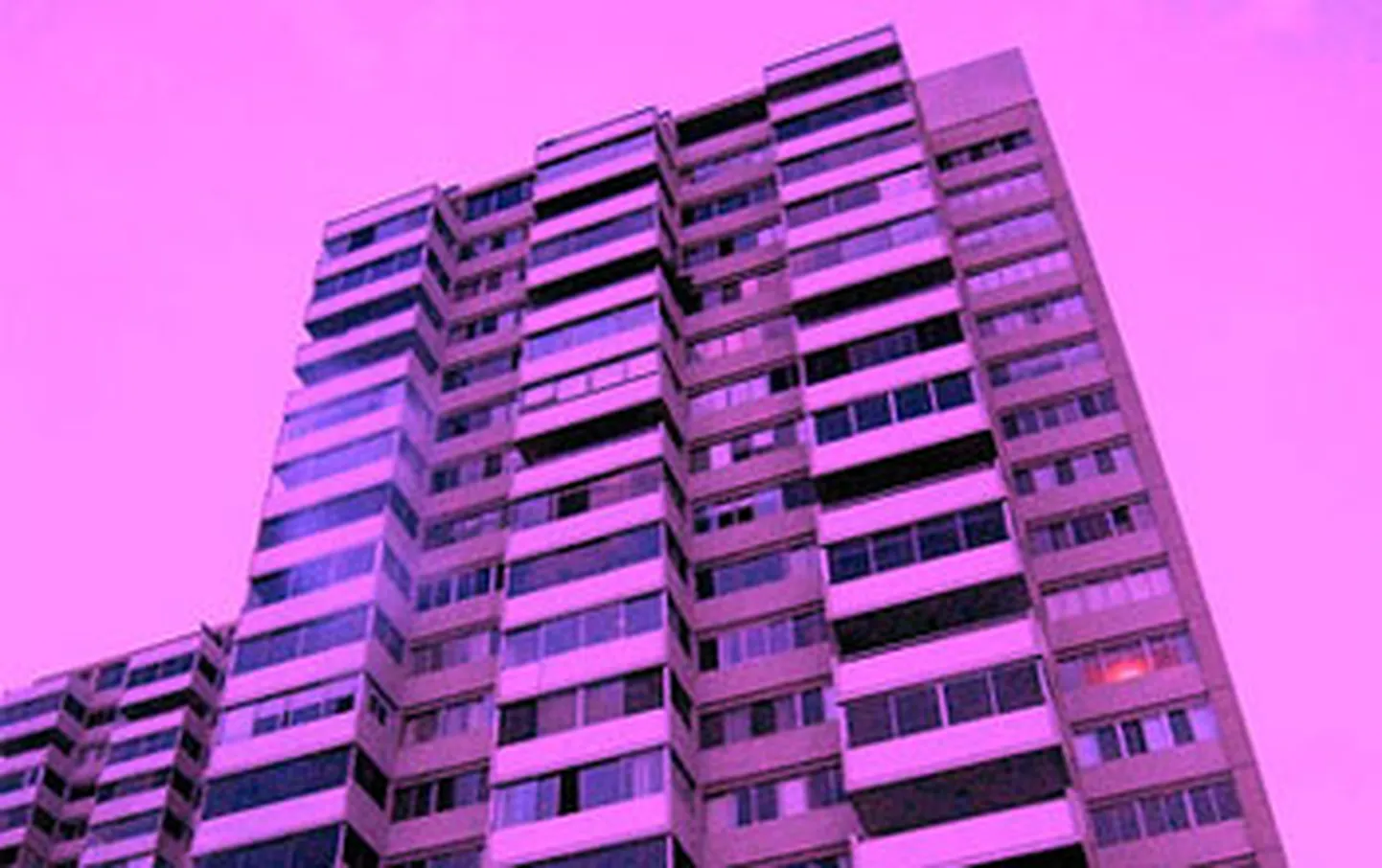 Raksta foto