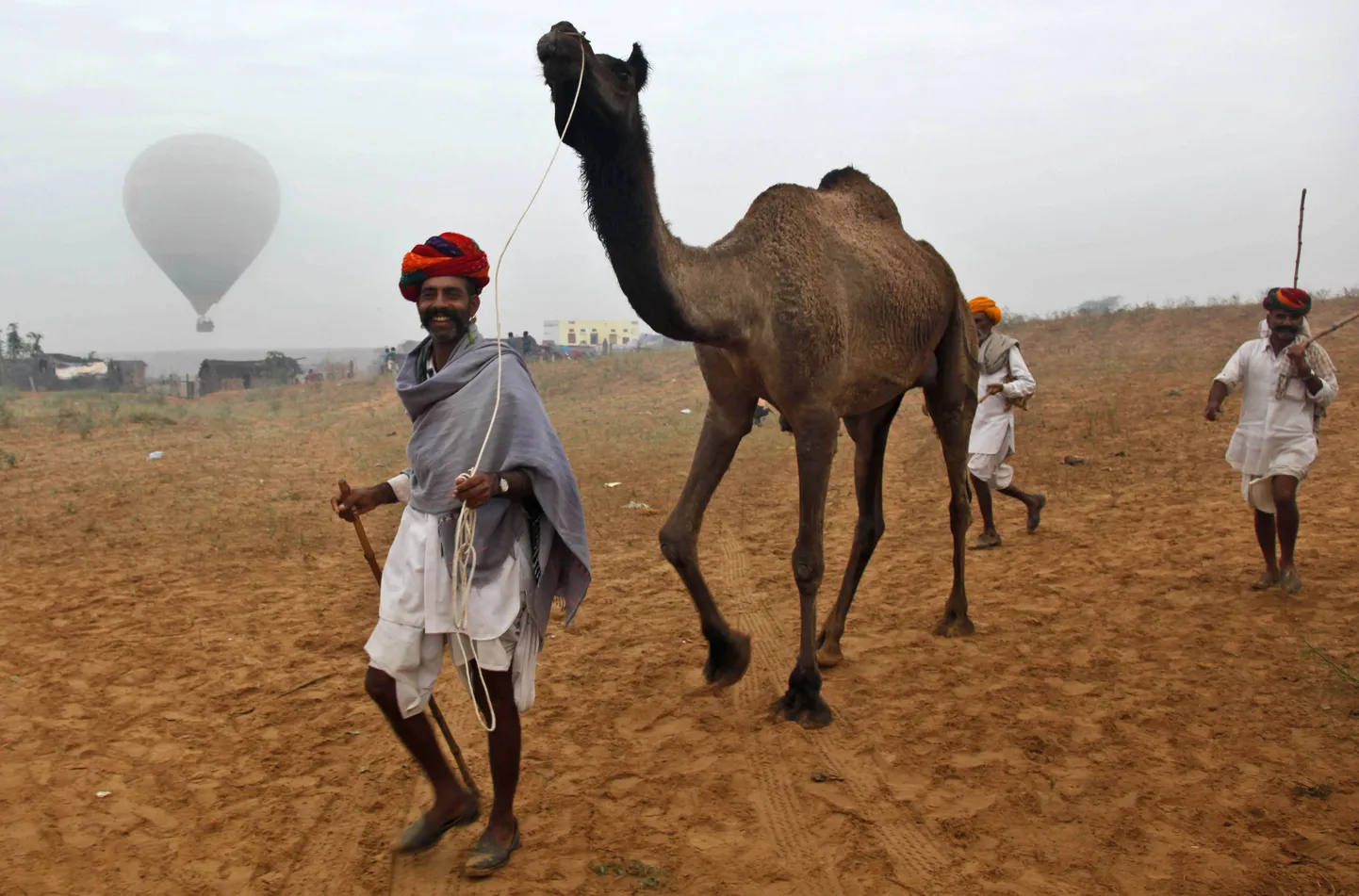 Kaameliga laadale Indias Pushkaris