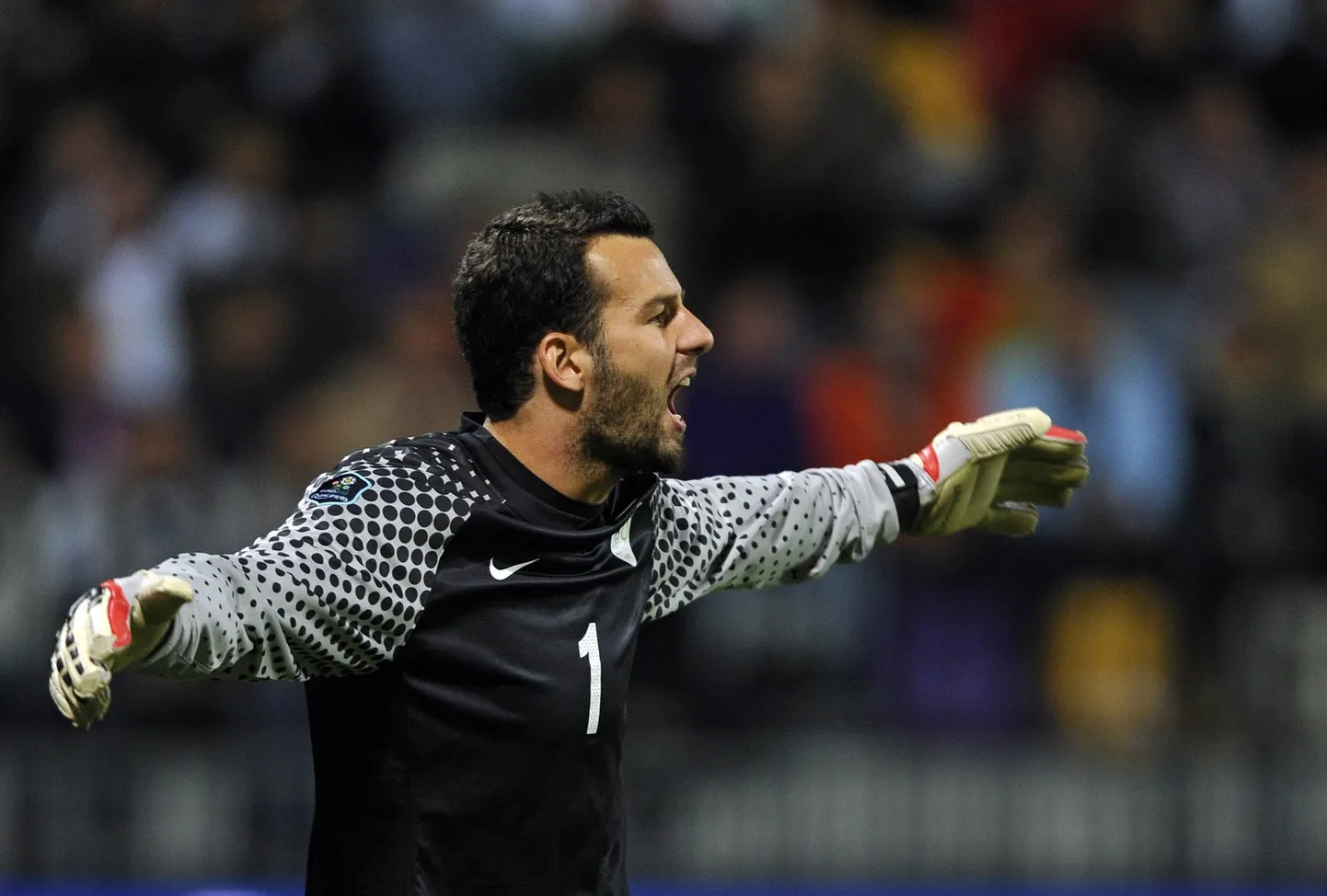 Samir Handanovic.