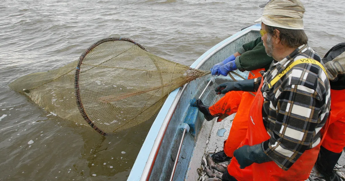 Kalugadagi fohishalarni korsating va fotosuratlarni koring