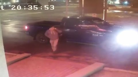 Видео: олень снес выходящего из автомобиля мужчину