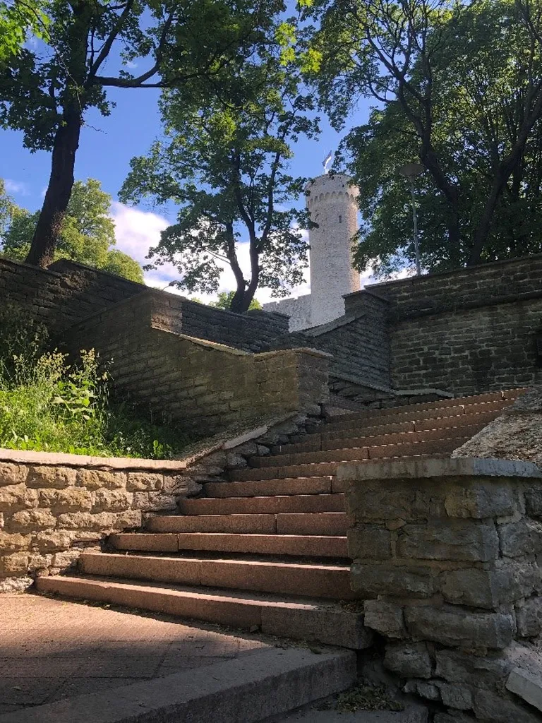Открывшаяся панорама с лестницы парка Хирве на башню Длинный Герман.