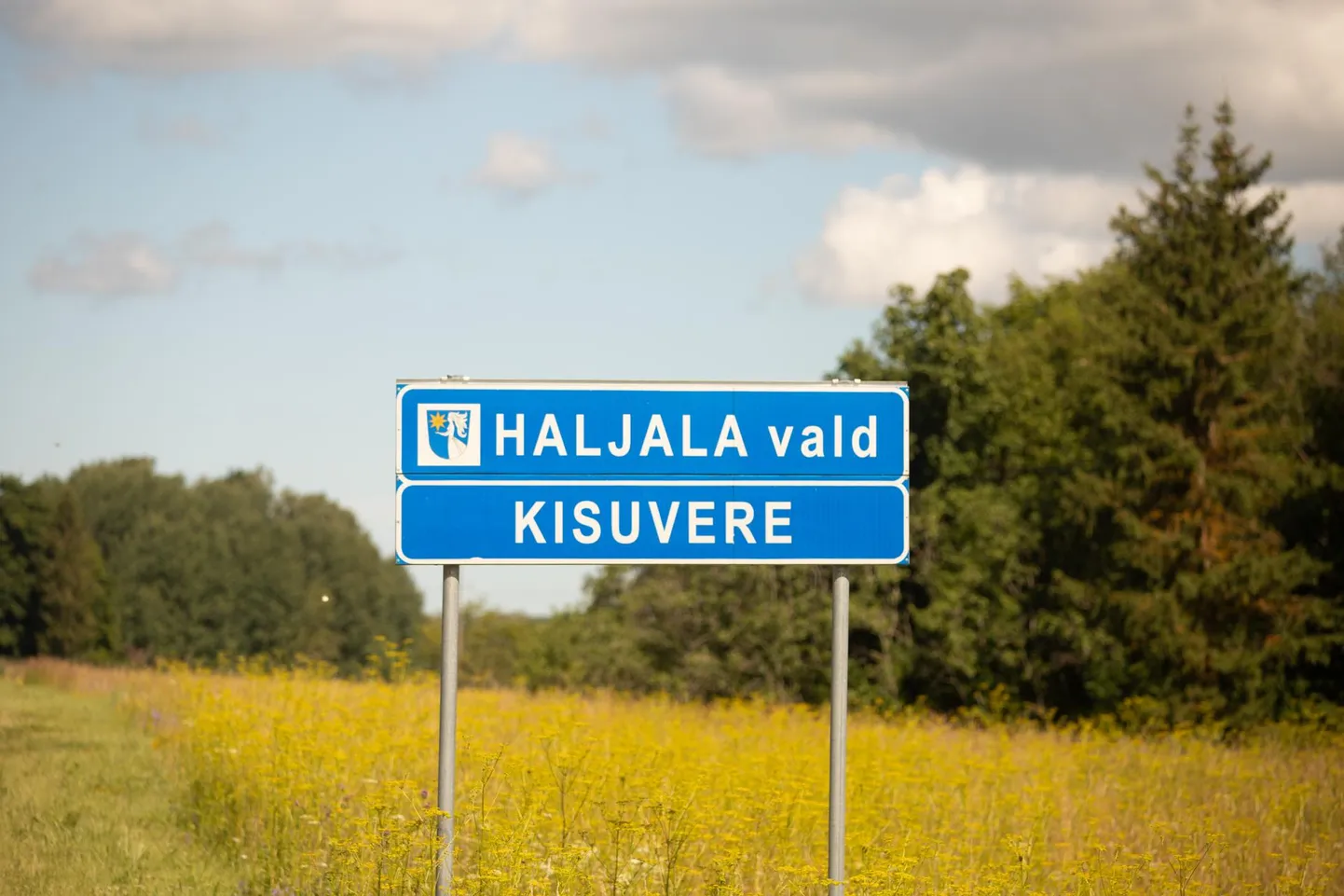 Liiklusõnnetus toimus Haljala vallas Kisuvere küla piirides.