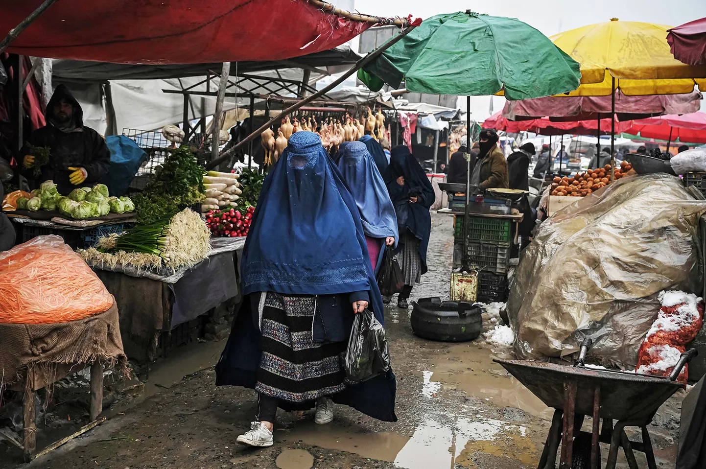 Raksta foto