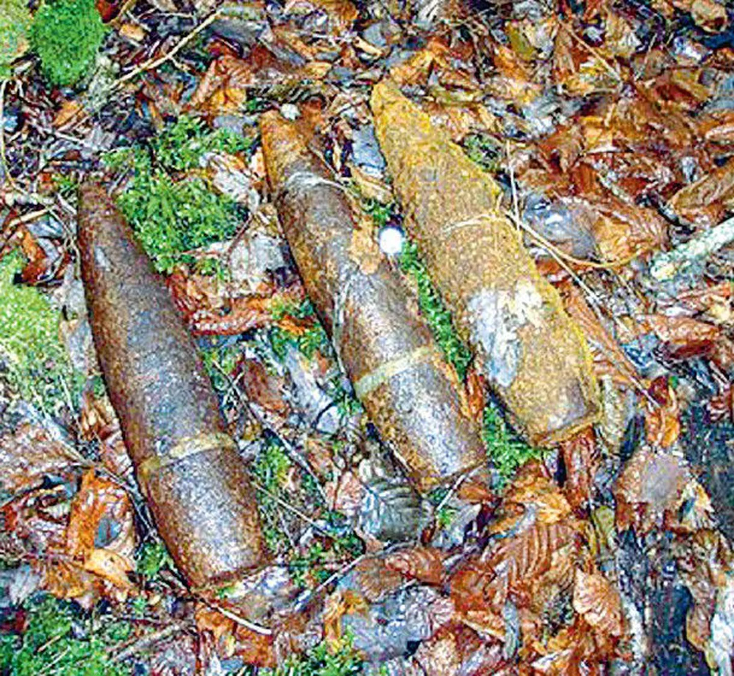 Teisest maailmasõjast ja Nõukogude armeest järele jäänud, ajahambast puretud lõhkekehad võivad lõhkeda ka kergema puudutuse korral.