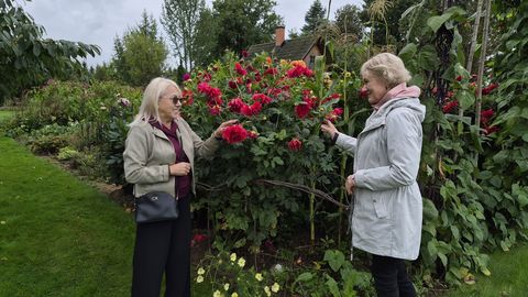 Ida-Viru kauni kodu konkursi võitjad sõitsid Lõuna-Eestisse inspiratsiooni järele