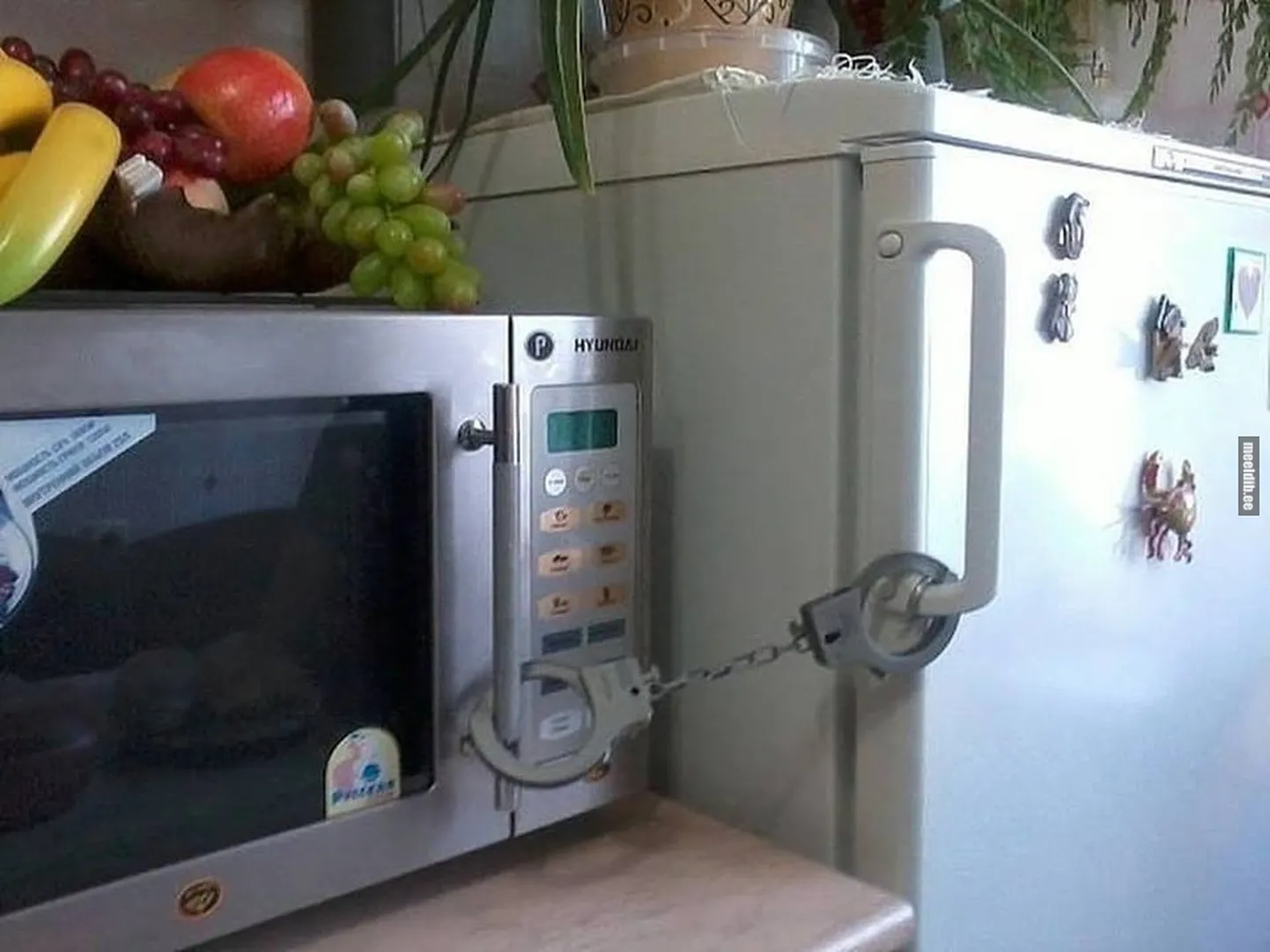 Artikli foto