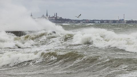 Важное предупреждение ⟩ На Эстонию может обрушиться внезапный шторм